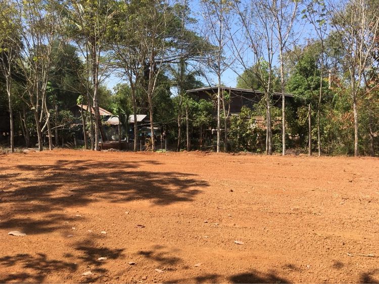 ขายที่ดินพร้อมสวนยาง 6.2 ไร่ รูปที่ 3