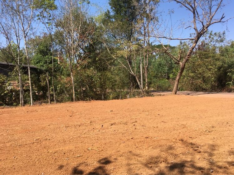 ขายที่ดินพร้อมสวนยาง 6.2 ไร่ รูปที่ 4