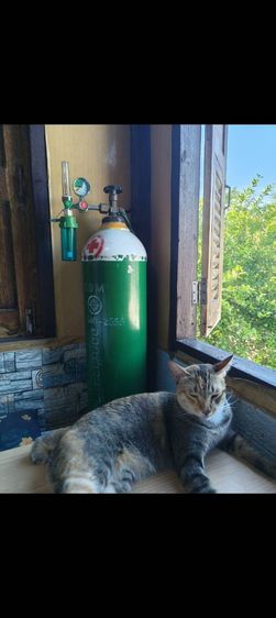 อุปกรณ์เพื่อสุขภาพ ถังออกซิเจน ขนาด 6 คิว พร้อมเกจ์วัด ผลิตปี 2021