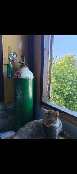 ถังออกซิเจน ขนาด 6 คิว พร้อมเกจ์วัด ผลิตปี 2021 รูปที่ 2