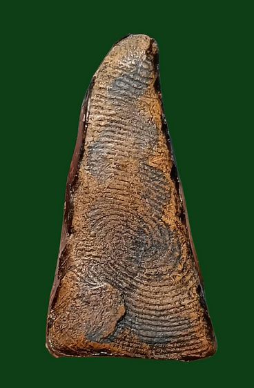 พระผงสุพรรณ รูปที่ 2