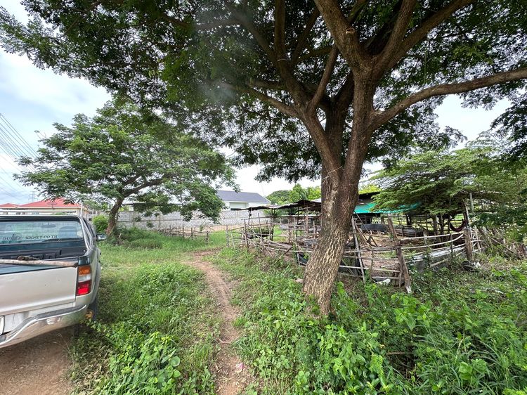 ที่ดิน2งาน ต่ำกว่าล้านครึ่ง ทำเลเมืองขอนแก่น รูปที่ 3