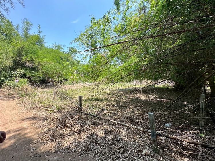 ที่ดินสวย 3 งาน 14.7ตรว ใกล้พระธาตุขามแก่นแค่ 2 นาที