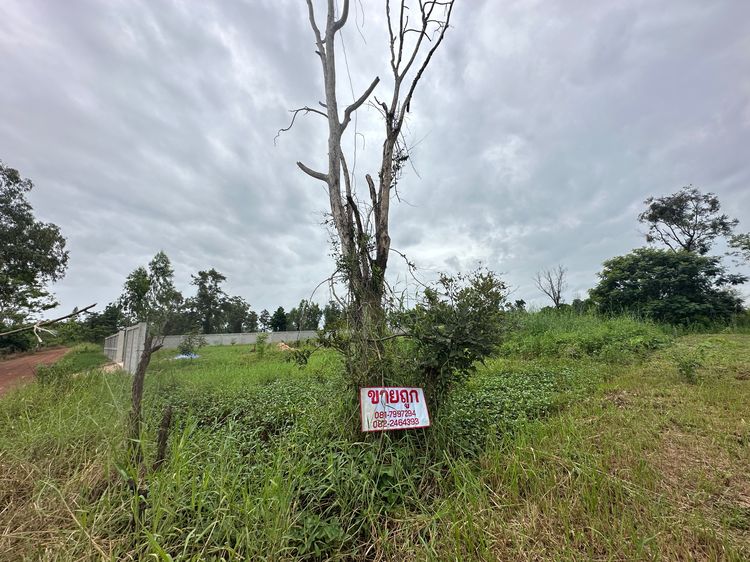 ด่วนที่ดินหลังการไฟฟ้าน้ำพอง 1 ไร่ 36 ตรว.