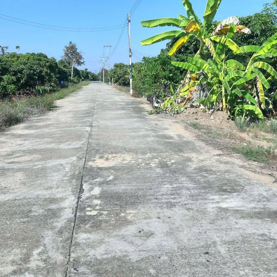 ที่ดินสวนลำใย ในเขตเทศบาล ห่างจากสนามบินเชียงใหม่ 20 กม. รูปที่ 2