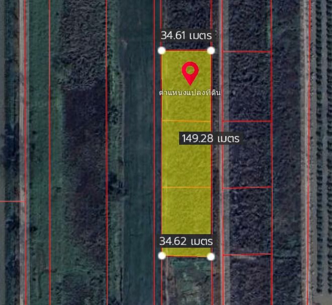 ขายที่ดิน 3 ไร่ รังสิต-นครนายกคลอง10 รูปที่ 3