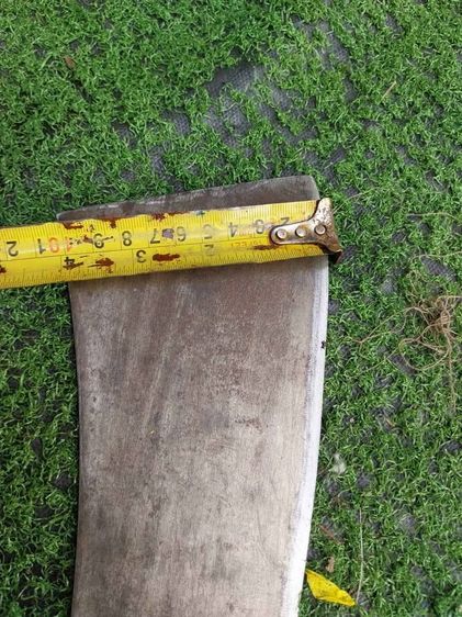  ตราจรเข้ อุปกรณ์เดินป่า รูปที่ 3