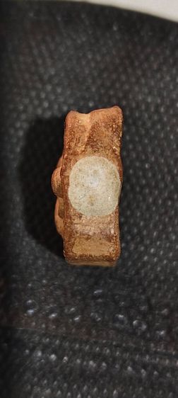 หลวงพ่อปานพิมพ์ทรงไก่หางสามเส้น