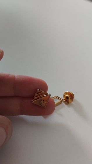 pin ติดเสื้อหรือเนคไท Christian Dior รูปที่ 3