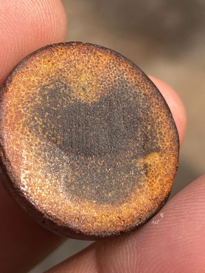 เครื่องราง รูปที่ 10