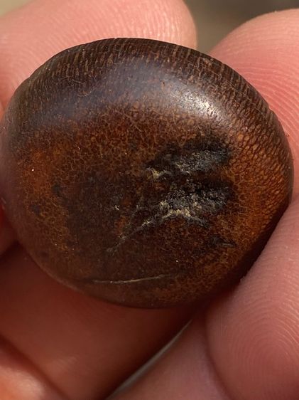 เครื่องราง รูปที่ 8