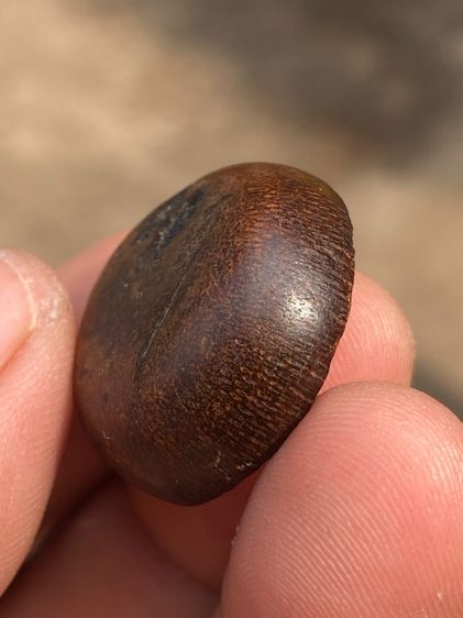 เครื่องราง รูปที่ 5