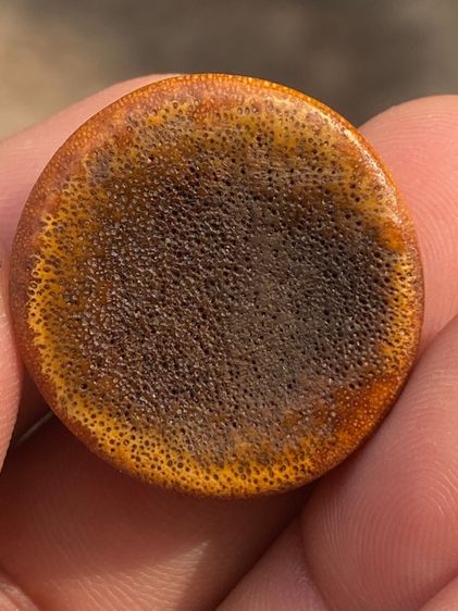 เครื่องราง รูปที่ 9