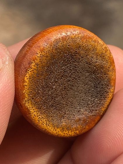 เครื่องราง รูปที่ 10