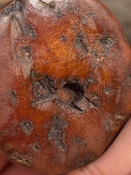 เครื่องรางของทนสิทธิ์ รูปที่ 9