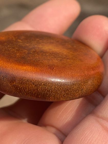 เครื่องรางของทนสิทธิ์ รูปที่ 6