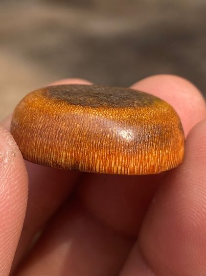 เครื่องราง รูปที่ 2