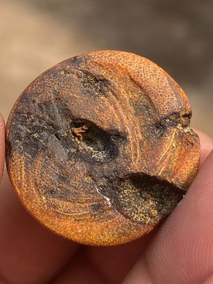 เครื่องราง รูปที่ 9