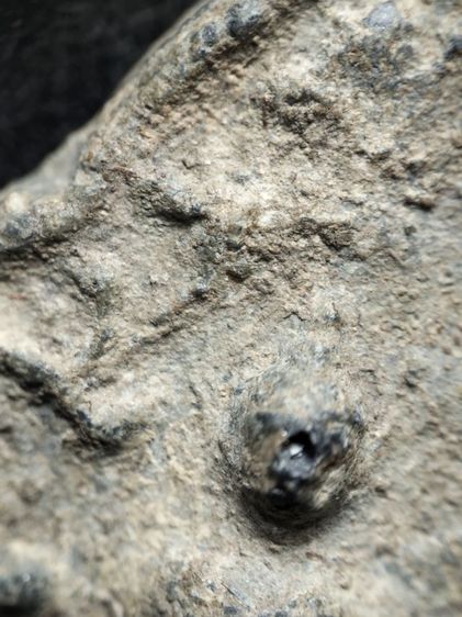 พิมพ์ป่าเลไลย์วัดท้ายตลาดครับ รูปที่ 5