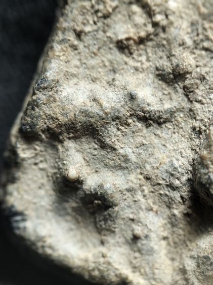 พิมพ์ป่าเลไลย์วัดท้ายตลาดครับ รูปที่ 7