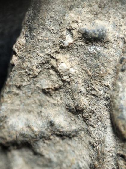 พิมพ์ป่าเลไลย์วัดท้ายตลาดครับ รูปที่ 6