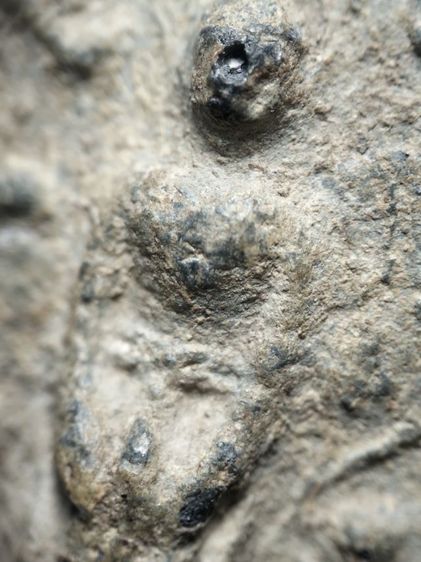 พิมพ์ป่าเลไลย์วัดท้ายตลาดครับ รูปที่ 12