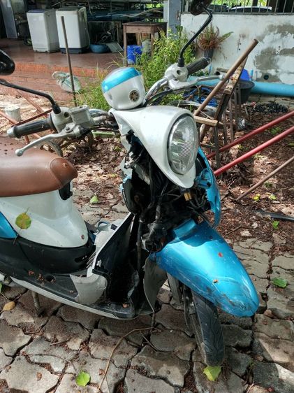 ฟีโนขายเหมาแยก รูปที่ 3