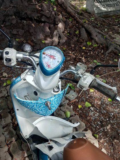 ฟีโนขายเหมาแยก