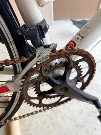 Trek 1.1 size 62 รูปที่ 8