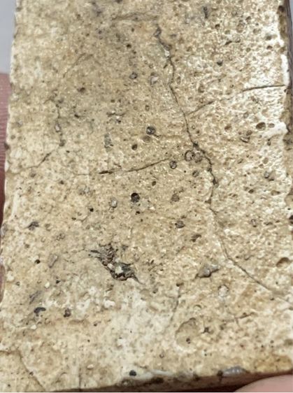 พระสมเด็จเนื้อเก่า ไม่ทราบที่ รูปที่ 14