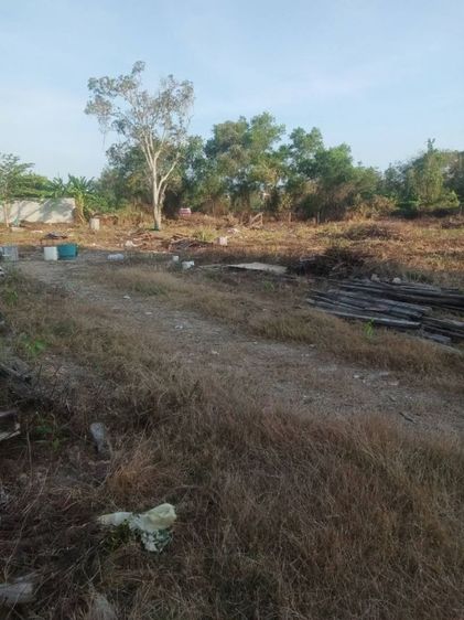 ใช่ ขายที่ดินติดถนนแยกเจ สุขวิท ชลบุรี เหมาะทำที่อยู่อาศัย หรือโกดัง  สนใจติดต่อ 0657894642 หรือ 0657895159 รูปที่ 4