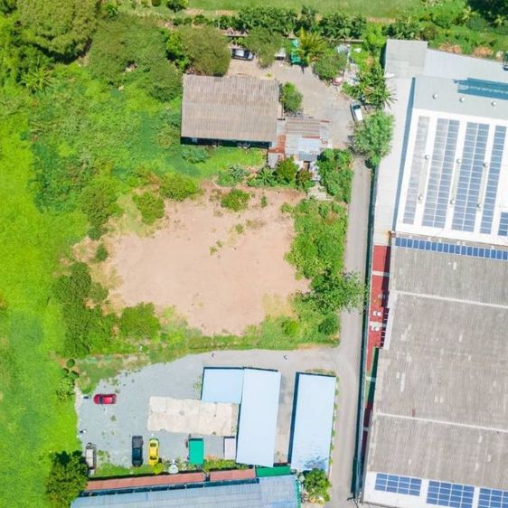 ใช่ ขายที่ดิน ถนนติวานนท์ สนใจติดต่อ0657895159หรือ0657894642 รูปที่ 4