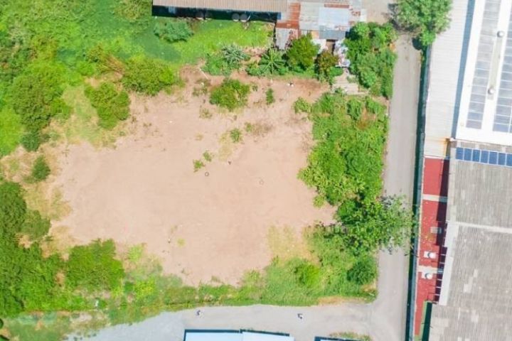 ใช่ ขายที่ดิน ถนนติวานนท์ สนใจติดต่อ0657895159หรือ0657894642 รูปที่ 3