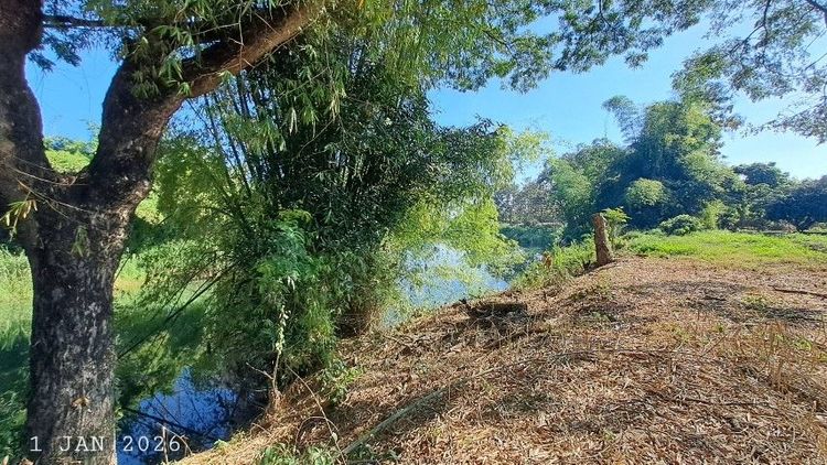 ไม่ใช่ ติดแม่น้ำลี้ติดถนนคอนกรีต เจ้าของขายเองใกล้สามแยกดอยอินทนนท์ แมคโครโลตัสจอมทองเพียง 5 นาที รูปที่ 4