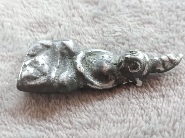 งั่ง (ไอ้งั่ง) รูปที่ 4