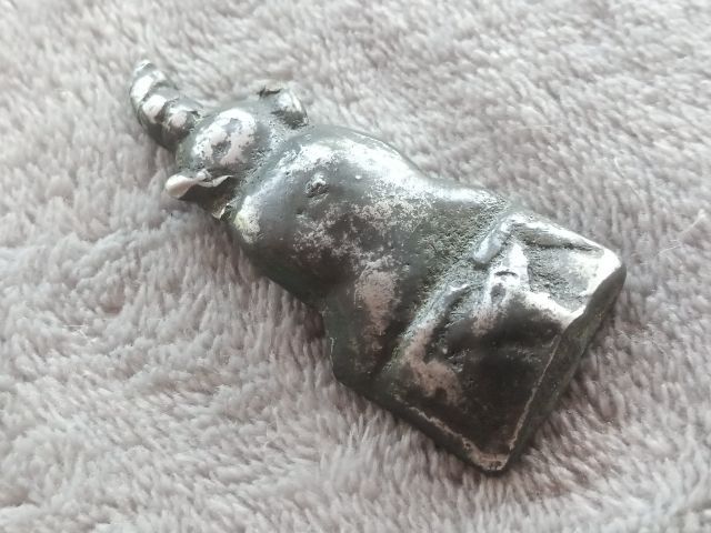 งั่ง (ไอ้งั่ง) รูปที่ 10