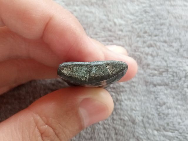 งั่ง (ไอ้งั่ง) รูปที่ 11