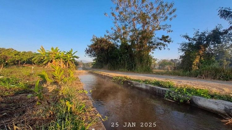 ไม่ใช่ เจ้าของขายเองแบ่งขายสวนลำไยแปลงเล็ก เหมาะทำบ้านสวน บ้านพักตากอากาศ ใกล้สามแยกดอยอินทนนท์ รูปที่ 2