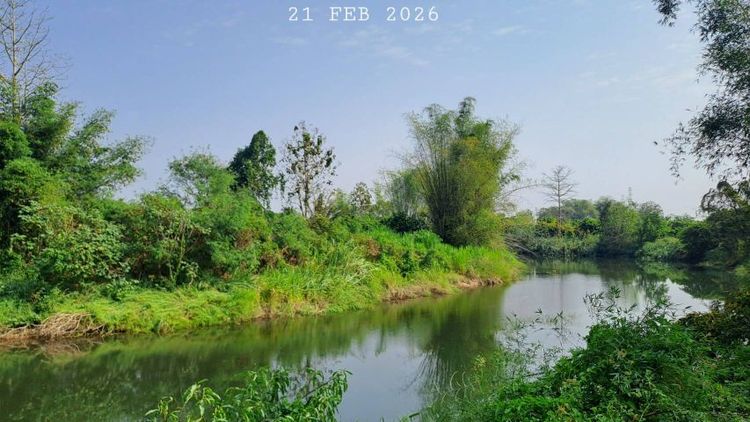 ไม่ใช่ ติดแม่น้ำลี้ติดถนนคอนกรีต น้ำประปาพร้อมเหมาะทำบ้านพักตากอากาศ ลานแคมป์ปิ้ง คาเฟ่ร้านอาหารริมน้ำ  รูปที่ 3