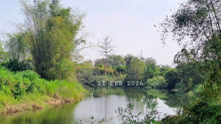 ไม่ใช่ ติดแม่น้ำลี้ติดถนนคอนกรีต น้ำประปาพร้อมเหมาะทำบ้านพักตากอากาศ ลานแคมป์ปิ้ง คาเฟ่ร้านอาหารริมน้ำ  รูปที่ 2