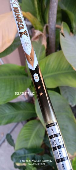 Fairway 3 HONMA BERES ซ้าย รูปที่ 4