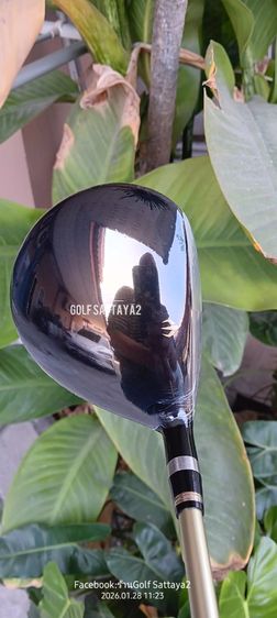 Fairway 3 HONMA BERES ซ้าย รูปที่ 3