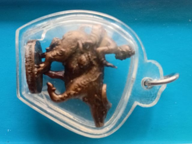 ควายธนูหลวงปู่แวนกาย รูปที่ 2