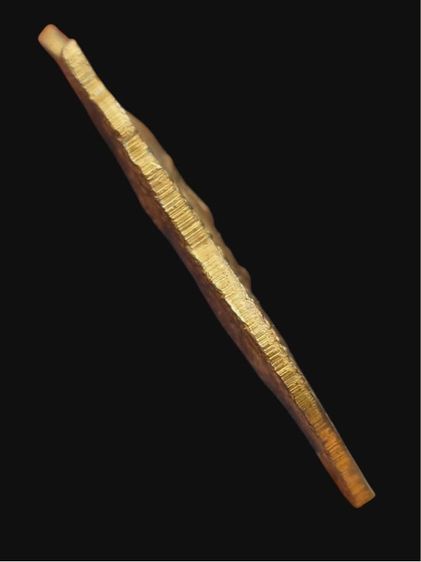 หลวงปู่ทวด รูปที่ 4