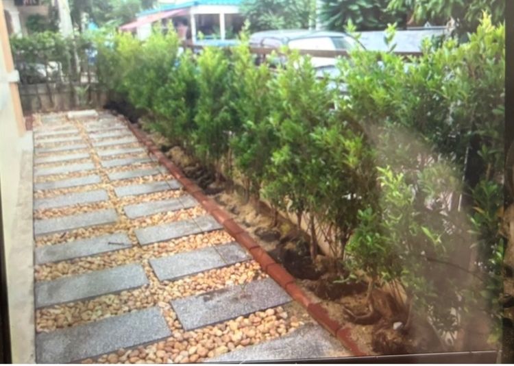 ขายทาวเฮ้าส์ หลังริม หมู่บ้านพฤกษา 20  ลำลูกกา คลอง 2 รูปที่ 3