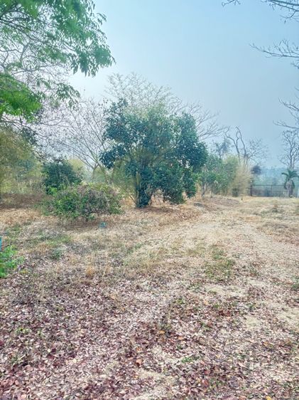 ไม่ใช่ ที่ดิน รูปที่ 3