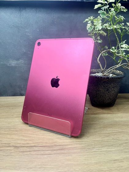 iPad10 WiFi-Celluar