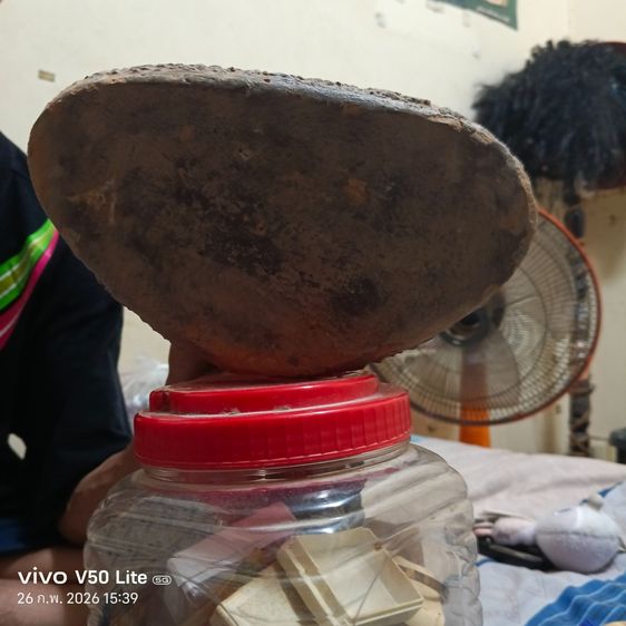 พระเครื่องพระบูชา รูปที่ 3