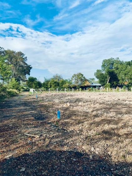 ขายที่ดิน 150 ตารางวา ติดถนน อำเภอเมือง จ.นครนายก  รูปที่ 4