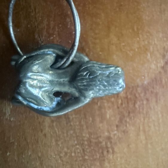 ไอ้งั่งตาแดง  อีเป๋อ รูปที่ 7